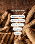 Dream Patches - Nano