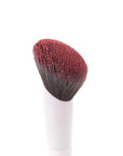 BRUSH