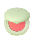 Pistachio Cream Delight Blush Cream