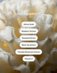 Collagen Patches