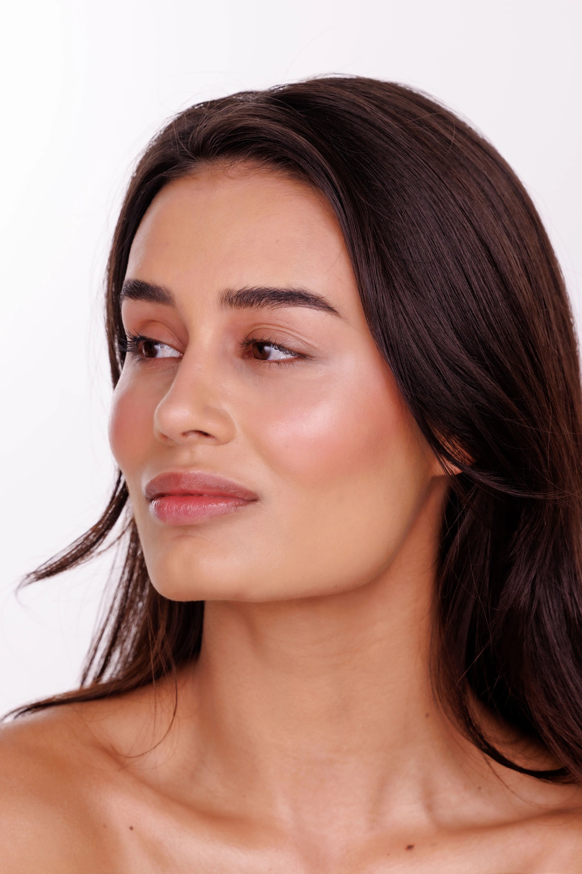 Highlighter