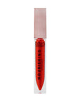 Nourishing Lip Gloss