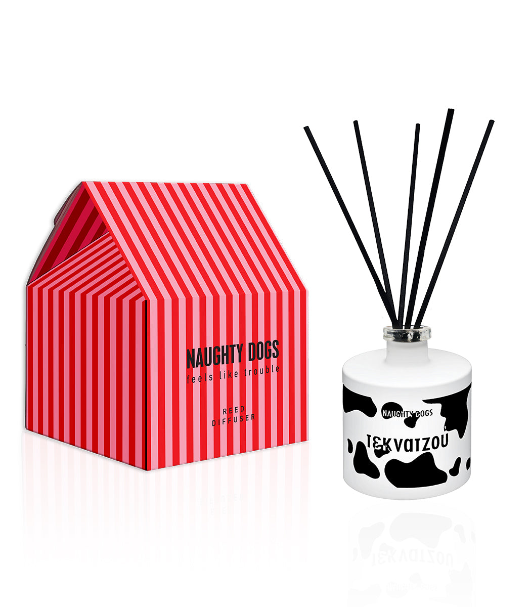 Diffuser Teknatzou
